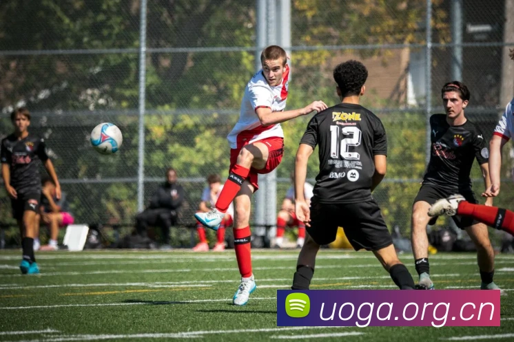 九游网官网登录入口全站App 九游网官网登录入口全站App